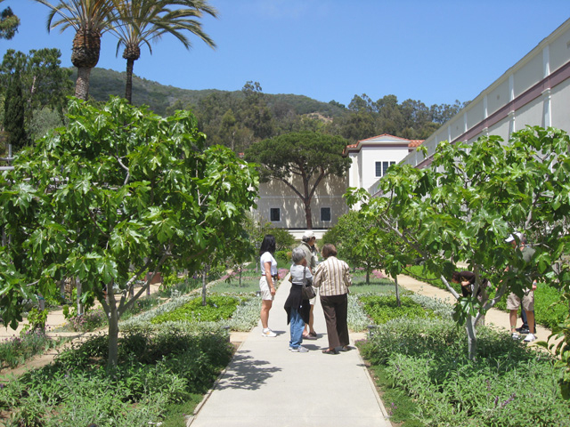 Herbs Garden