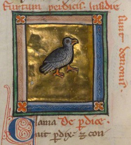 Permalink to On the 12 Days of Christmas, My True Love Gave to Me… A Partridge (detail)/from a bestiary
