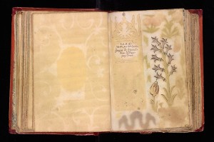 Permalink to 16th-Century Album Records Social Network of Early Modern Europe Leaf 57 verso and 58 recto from Johann Joachim Prack von Asch’s liber amicorum (book of friends), 1587–1612. The Getty Research Institute, 2013.M.24