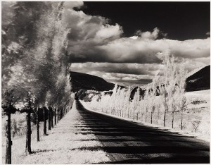 Permalink to Transformed by Minor White Vicinity of Naples, New York / Minor White
