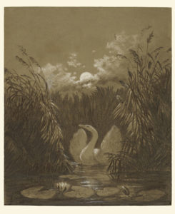 Permalink to This Just In: The Romantic Zeitgeist A Swan among Reeds by Moonlight, September 18, 1852, Carl Gustav Carus, charcoal with white chalk heightening on brown paper. The J. Paul Getty Museum.