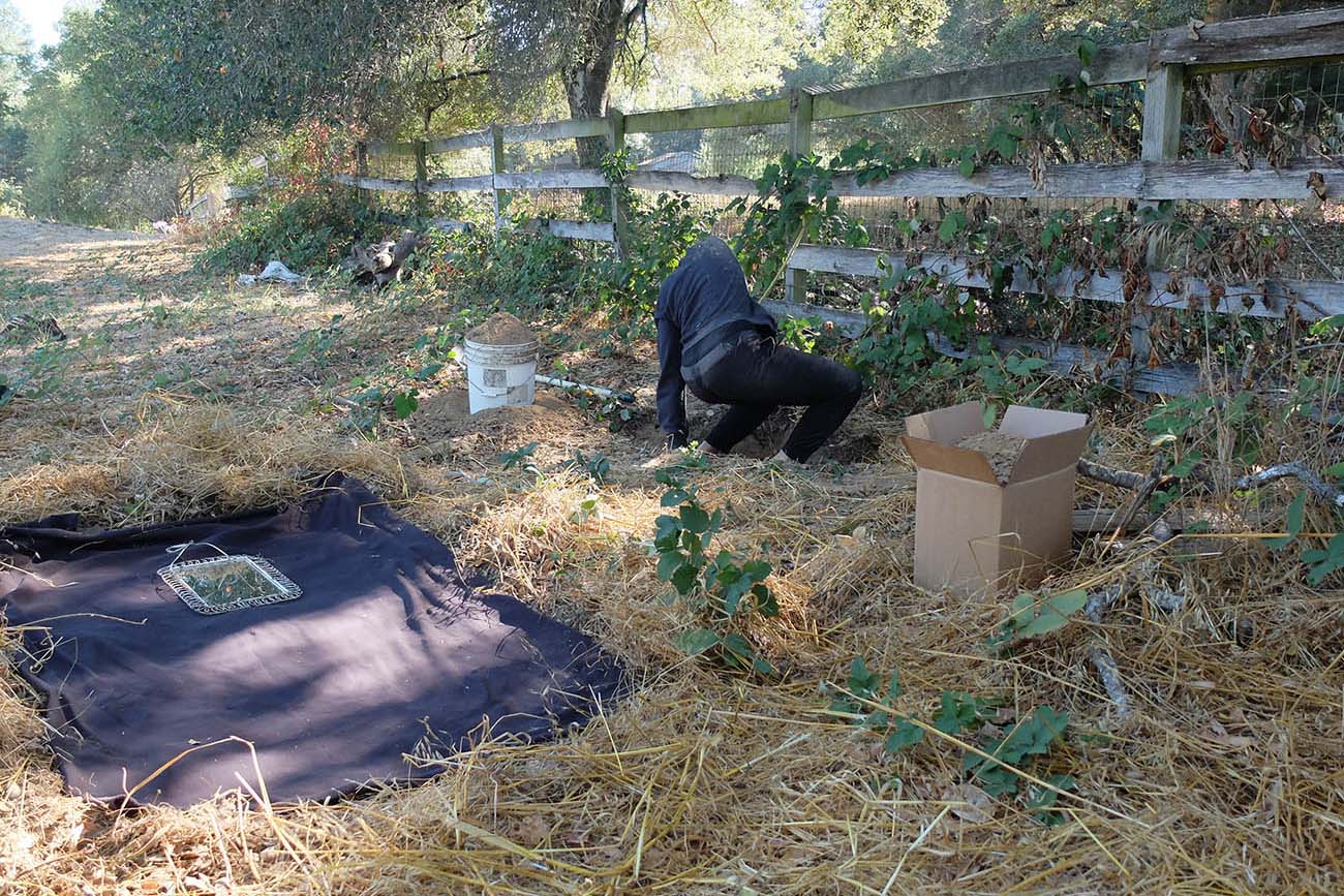 Crouching down, Marbles Jumbo Radio turns during performance of Mountain, Fire, Holding Still. Crouching down, Marbles Jumbo Radio turns during performance of Mountain, Fire, Holding Still.