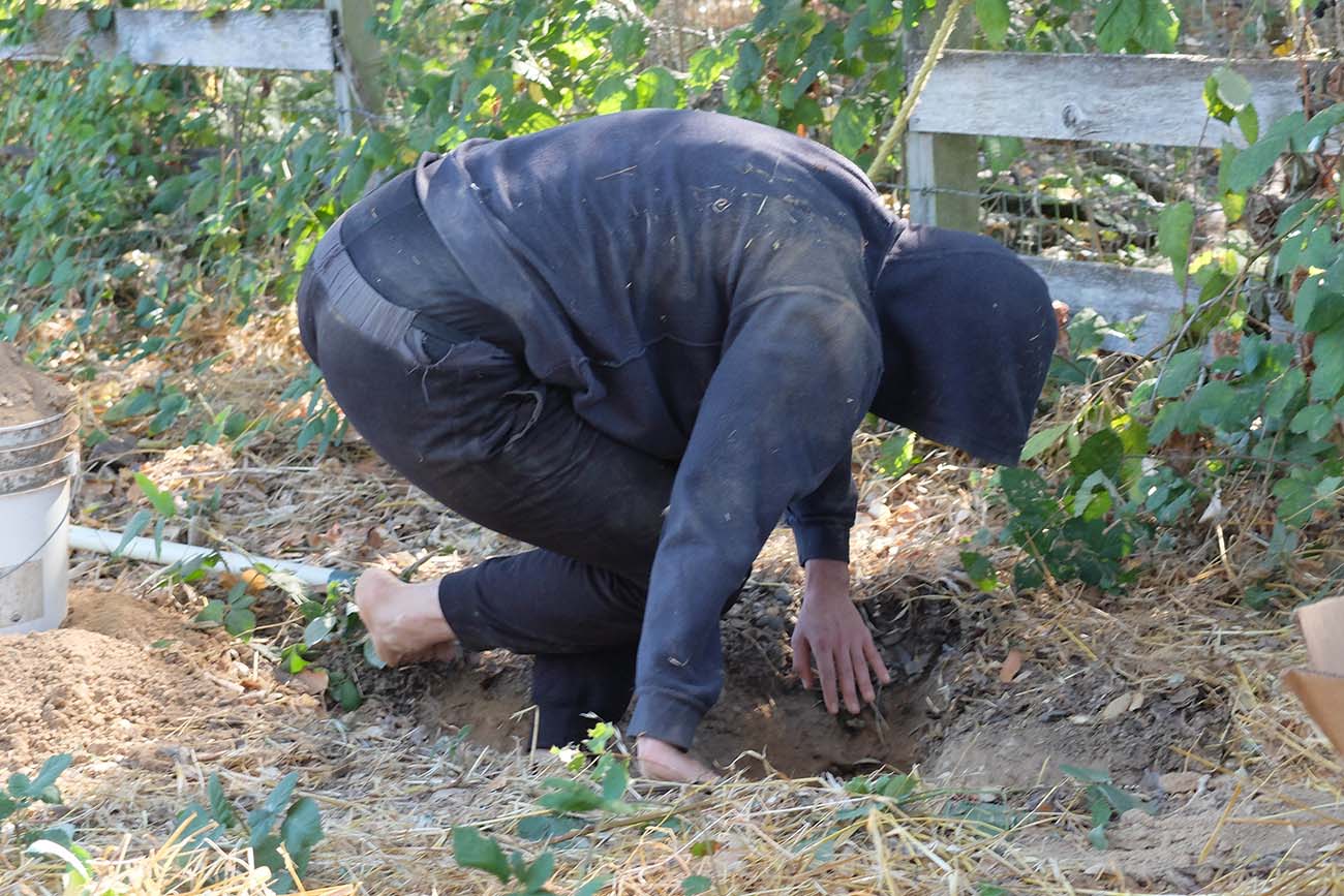 Close-up of Marbles Jumbo Radio crouching during performance of Mountain, Fire, Holding Still. Close-up of Marbles Jumbo Radio crouching during performance of Mountain, Fire, Holding Still.