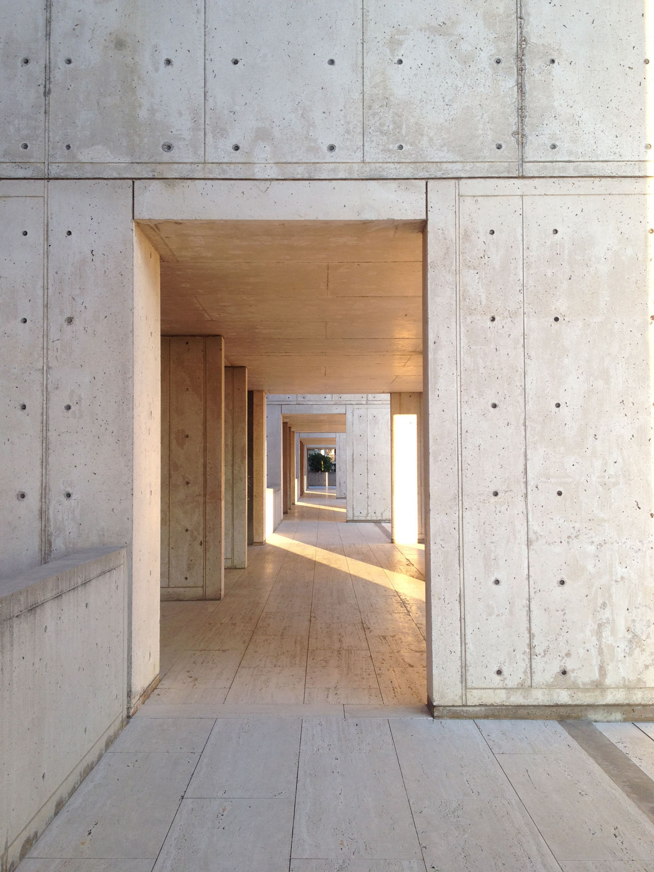 Inside The Conservation Work At The Salk Institute Louis