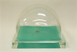 Untitled, Robert Graham