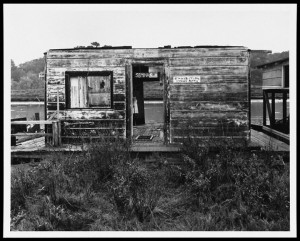 View of the Semina Gallery in Larkspur, California